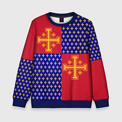 Детский свитшот Сюрко рыцарей Антиохии