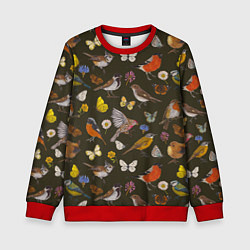 Свитшот детский Птицы и бабочки с цветами паттерн, цвет: 3D-красный