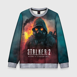 Свитшот детский Stalker 2 горящий завод, цвет: 3D-меланж