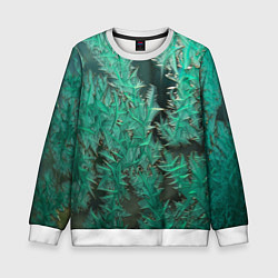 Детский свитшот Узоры изумрудного инея