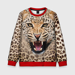 Свитшот детский Взгляд леопарда, цвет: 3D-красный