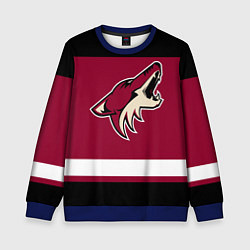 Свитшот детский Arizona Coyotes, цвет: 3D-синий