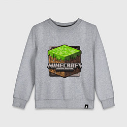 Детский свитшот Minecraft: Pocket Edition