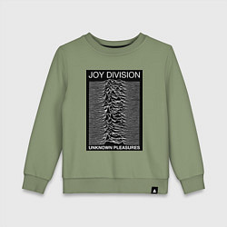 Детский свитшот Joy Division: Unknown Pleasures