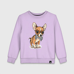 Детский свитшот Чихуахуа с бабочкой