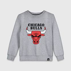 Детский свитшот Chicago Bulls