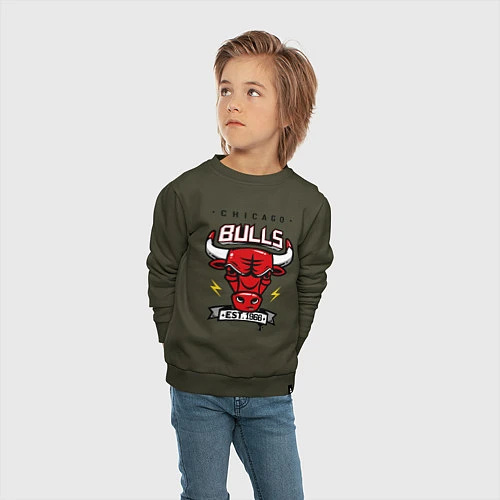 Детский свитшот Chicago Bulls est. 1966 / Хаки – фото 4