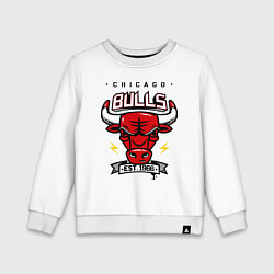 Детский свитшот Chicago Bulls est. 1966