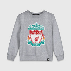 Детский свитшот Liverpool FC