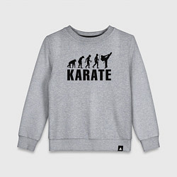 Детский свитшот Karate Evolution