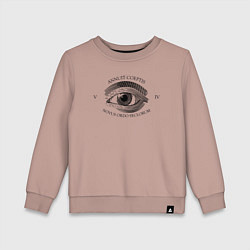 Детский свитшот Novus Ordo Seclorum