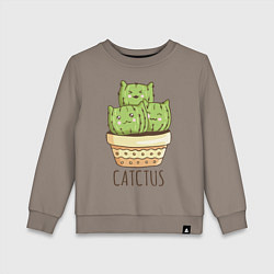 Детский свитшот Catctus