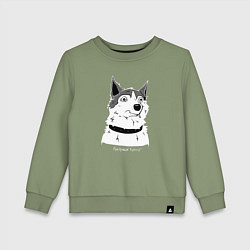 Детский свитшот Курьер - Шарик