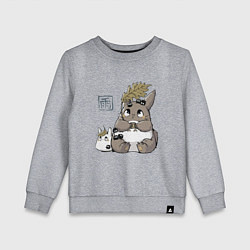 Детский свитшот Тоторо