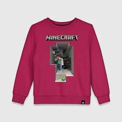 Детский свитшот Minecraft
