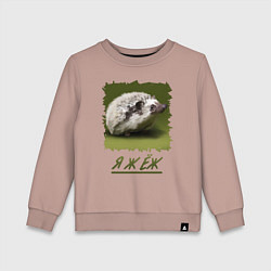 Детский свитшот ЁЖ