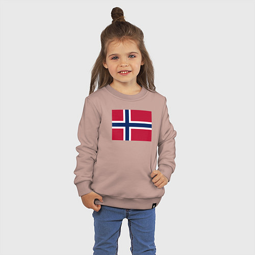 Детский свитшот Норвегия Флаг Норвегии / Пыльно-розовый – фото 3