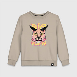 Детский свитшот Big Cat Floppa