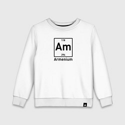 Детский свитшот Am -Armenium