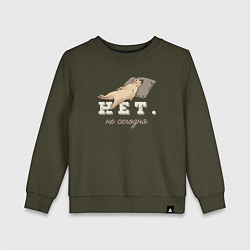 Детский свитшот Котик мем, нет, не сегодня