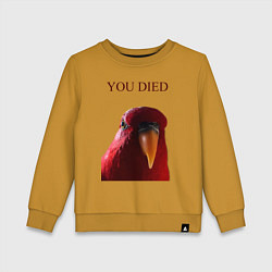 Детский свитшот Красный попугай