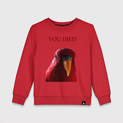 Детский свитшот Красный попугай