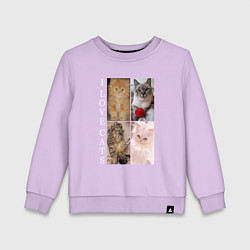 Детский свитшот I LOVE CATS Я ЛЮБЛЮ КОШЕК