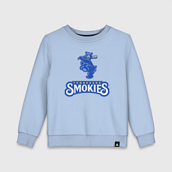 Свитшот хлопковый детский Tennessee smokies - baseball team, цвет: мягкое небо