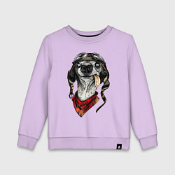 Детский свитшот Biker dog