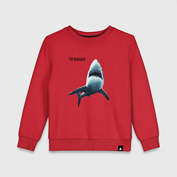 Свитшот хлопковый детский Акула - топ менеджер, цвет: красный