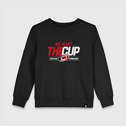 Детский свитшот Carolina Hurricanes we want the cup Каролина Харри