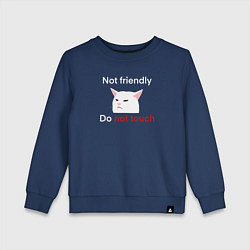 Детский свитшот Not friendly, do not touch, текст с мемным котом