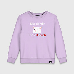 Детский свитшот Not friendly, do not touch, текст с мемным котом