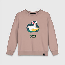 Детский свитшот Кролик 2023