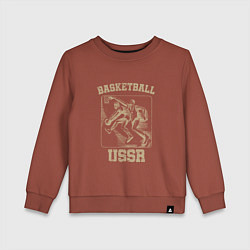 Свитшот хлопковый детский Баскетбол СССР советский спорт, цвет: кирпичный