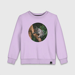 Детский свитшот Коала уснула