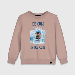 Детский свитшот Ice Cube in ice cube