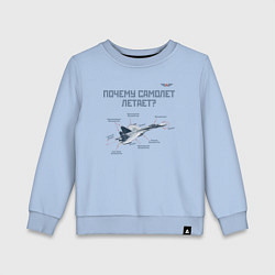 Детский свитшот Почему самолет летает?