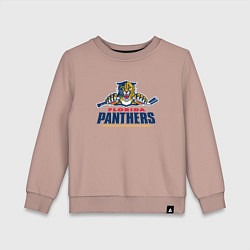 Детский свитшот Florida panthers - hockey team