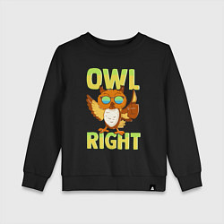 Свитшот хлопковый детский Owl right - каламбур отлично, цвет: черный