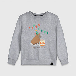 Свитшот хлопковый детский Capy birthday капибара, цвет: меланж