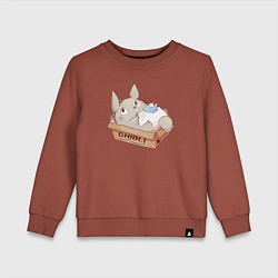 Свитшот хлопковый детский Ghibli Totoro, цвет: кирпичный