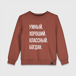 Свитшот хлопковый детский Умный хороший классный Богдан, цвет: кирпичный