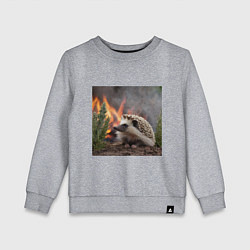 Детский свитшот Ёжик в огне