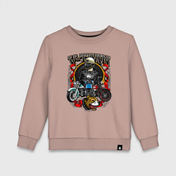 Свитшот хлопковый детский V-twin, цвет: пыльно-розовый