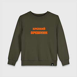 Свитшот хлопковый детский Крепкий орешник, цвет: хаки