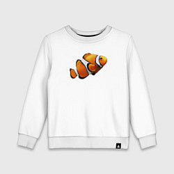 Детский свитшот Рыбка попугай