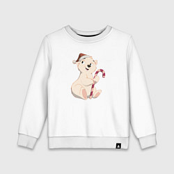 Детский свитшот Медвежонок с конфетой