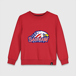 Свитшот хлопковый детский HC Saginaw Spirit, цвет: красный