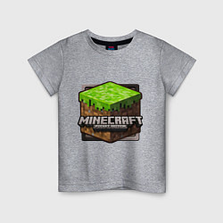 Футболка хлопковая детская Minecraft: Pocket Edition, цвет: меланж